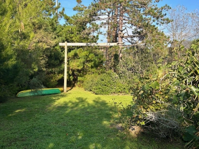 Grand jardin